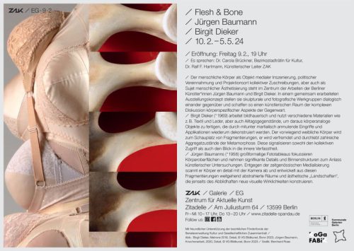 Flesh & Bone, Zentrum für aktuelle Kunst, Berlin