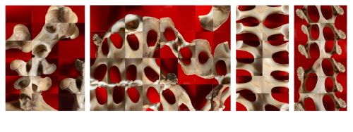 Knochenarbeit Nr.1 bis Nr.4 