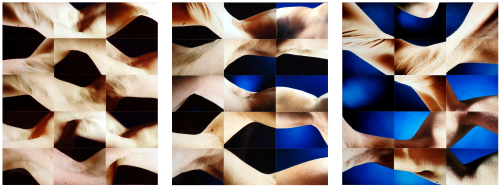 Netzhaut (Triptychon)