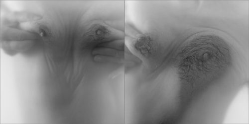 Offerten Nr.3 und Nr.4